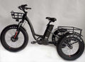 BaFang 750W All-Terrain Fat Tire Electric Tricycle, 23 mph, 55-Mile Range, Samsung Battery, Shimano 7-Speed