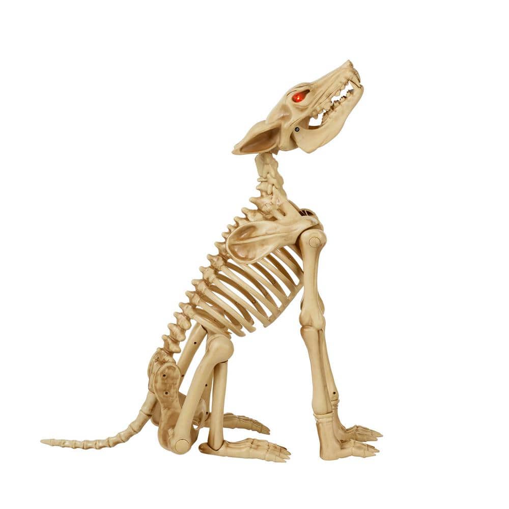 Brand Animated LED Skeleton Wolf, 2.5 ft, Poseable with Red LED Eyes, Halloween Decor