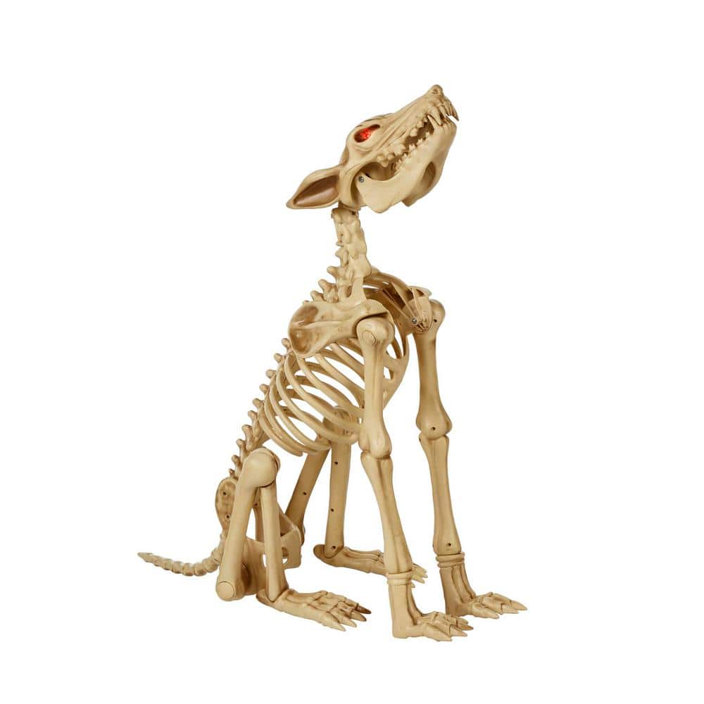 Brand Animated LED Skeleton Wolf, 2.5 ft, Poseable with Red LED Eyes, Halloween Decor