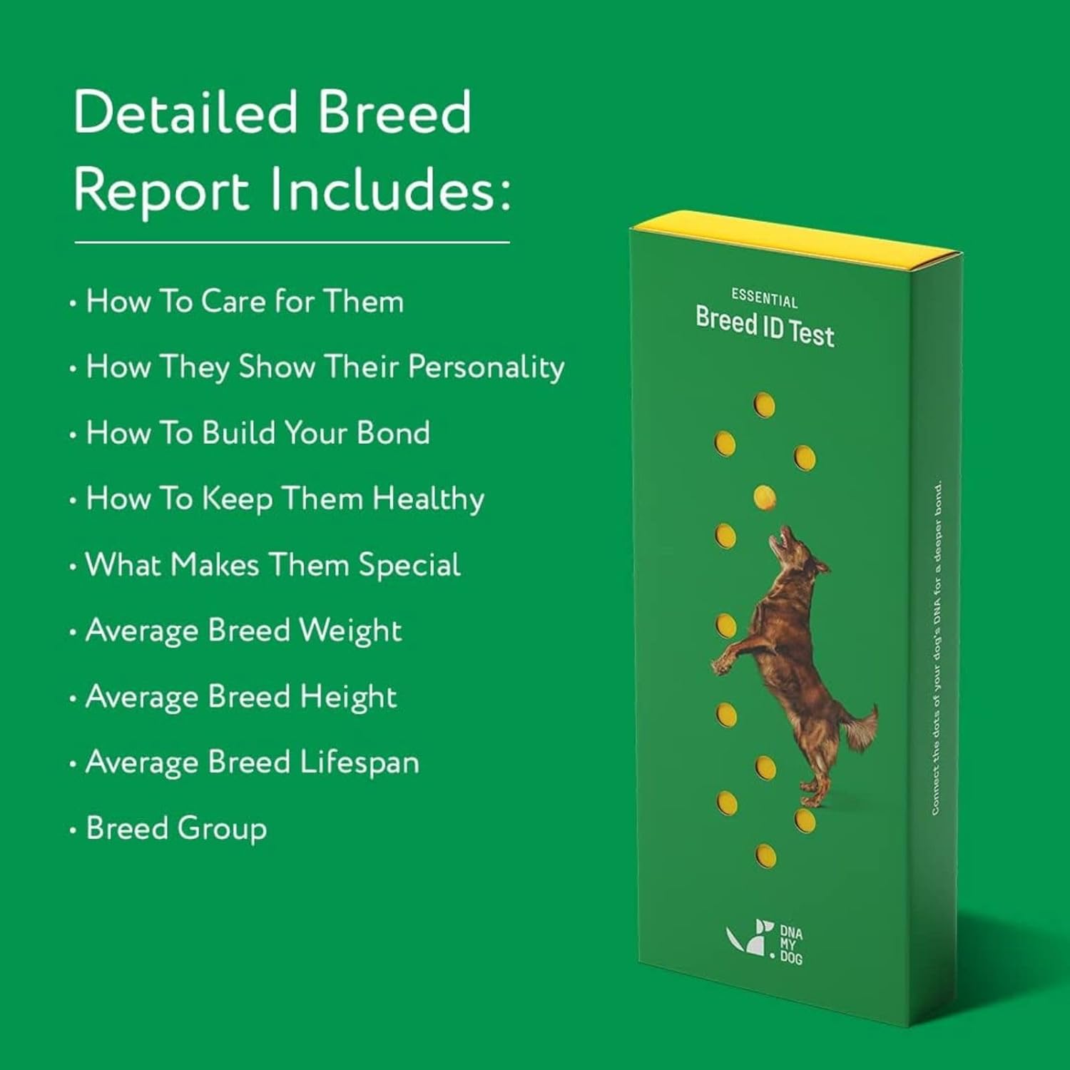 DNA My Dog Essential Breed ID Test - Accurate Mixed Breed Identification & Personality Insights for Dogs