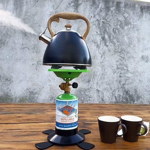Flame King 1LB Refillable Propane Cylinder Tank, DOT Certified, High-Grade Steel, Green, 16.4 oz