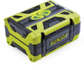 Snow Joe 100V 5.0Ah Lithium-Ion Battery with USB Ports & LED Light for Tools