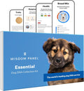 Wisdom Panel Essential Dog DNA Kit - Accurate 365+ Breeds, 30 Health Conditions, 50+ Traits, Ancestry Insights, 1 Pack