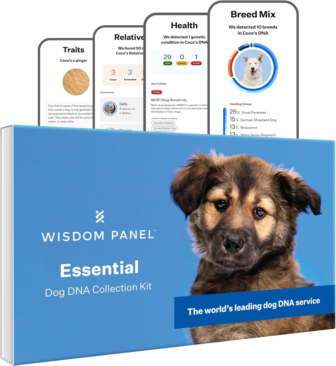 Wisdom Panel Essential Dog DNA Kit - Accurate 365+ Breeds, 30 Health Conditions, 50+ Traits, Ancestry Insights, 1 Pack