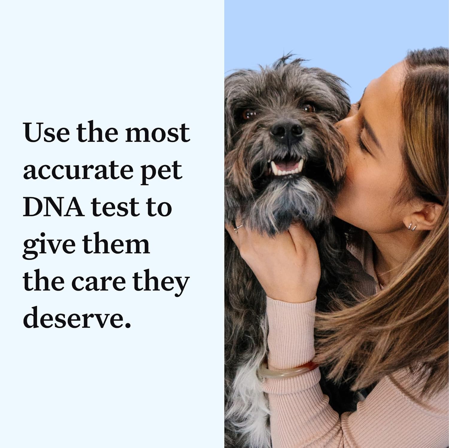Wisdom Panel Essential Dog DNA Kit - Accurate 365+ Breeds, 30 Health Conditions, 50+ Traits, Ancestry Insights, 1 Pack