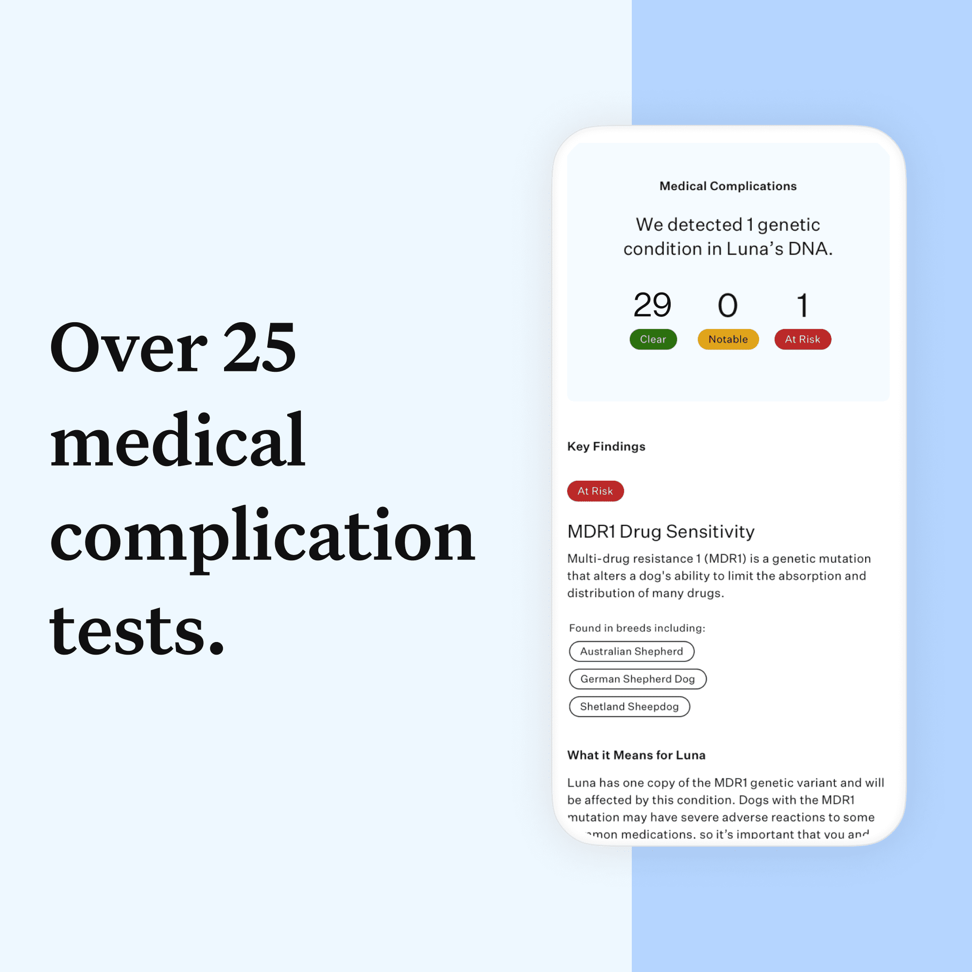 Wisdom Panel Essential Dog DNA Test Kit - Breed & Health Insights, 350+ Breeds, 25+ Medical Conditions, Accurate Ancestry Tracing